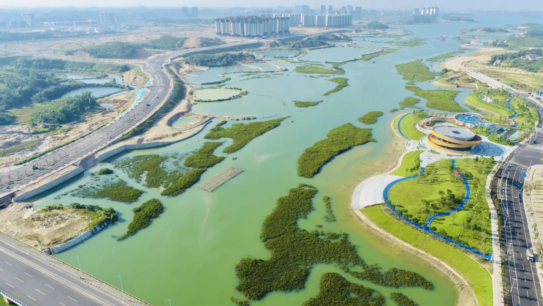 公司环保项目荣获首届联合国“海洋十年”大奖